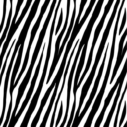 Zebra Stripes Wide Calf